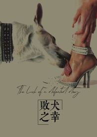 败犬之幸 败犬之幸